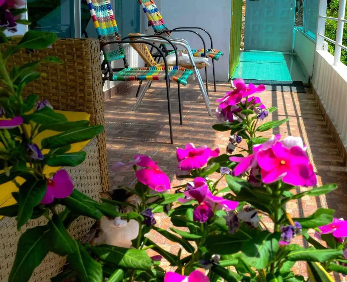 Casa Babel Taganga Otel Santa Marta